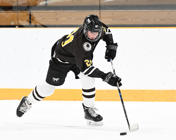 hockey_ms2_2024-01-11_dburns_8377