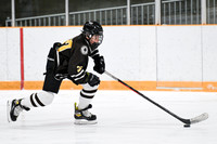 hockey_ms2_2024-01-11_dburns_8152