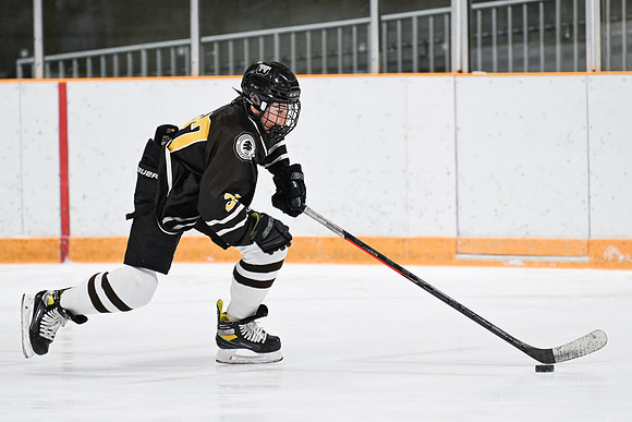 hockey_ms2_2024-01-11_dburns_8152