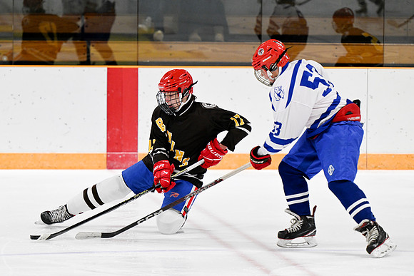 hockey_ms2_2024-01-11_dburns_8320