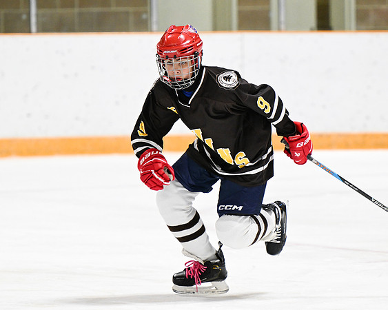 hockey_ms2_2024-01-11_dburns_8525