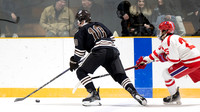 hockey_2024-01-20_dburns_1596