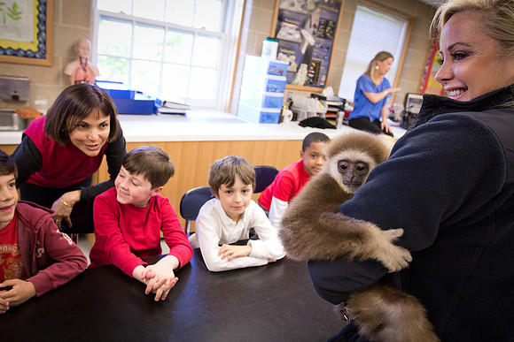animals_us_visits_ls_2949