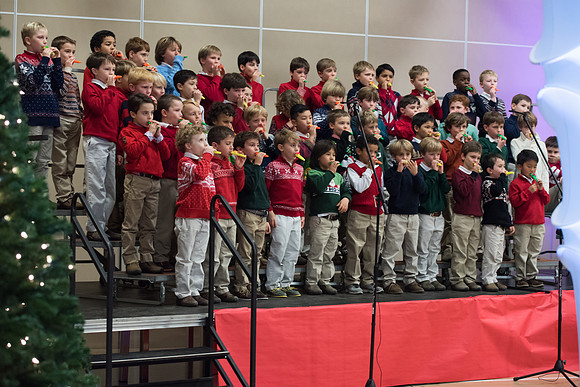 holiday_ls_hp_6292