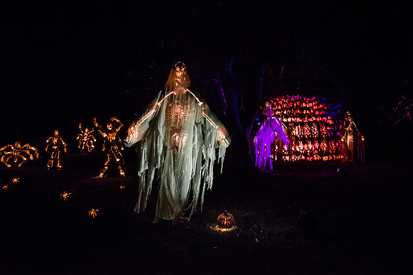 pumpkinblaze16_hp_9311