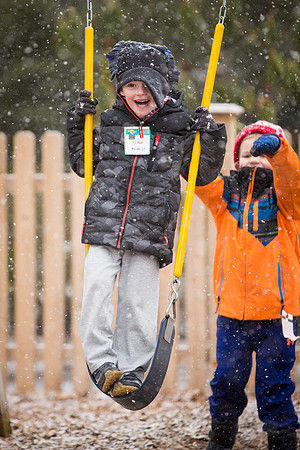 snow_ps_2017-01-31_wkl_4947