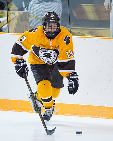 hockey_2016-12-10_dburns_2545