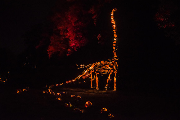 pumpkinblaze16_hp_9319