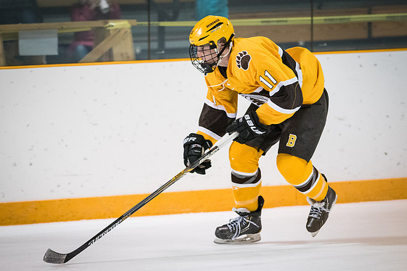hockey_2016-02-17_wkl_8592