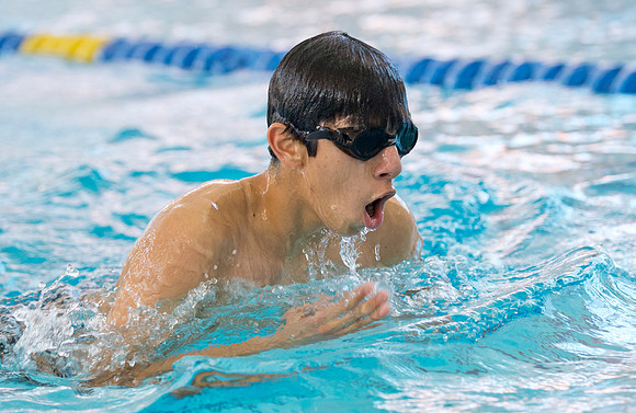 swim_db_2311