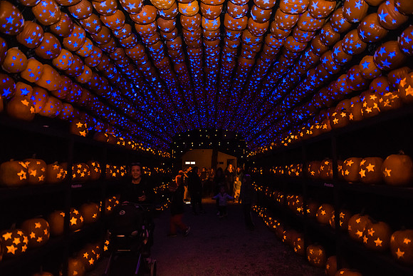 pumpkinblaze16_hp_9275