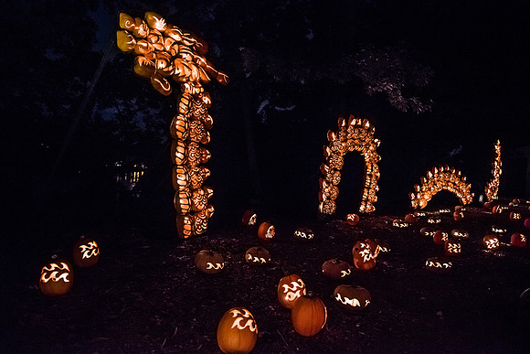 pumpkinblaze16_hp_9390
