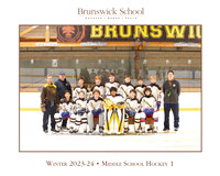 team_winter2324_hockey_ms1