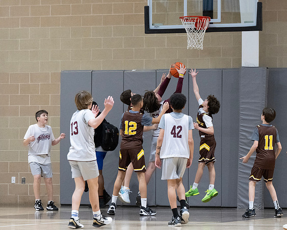 basketball_7b_2024-01-23_dburns_8877