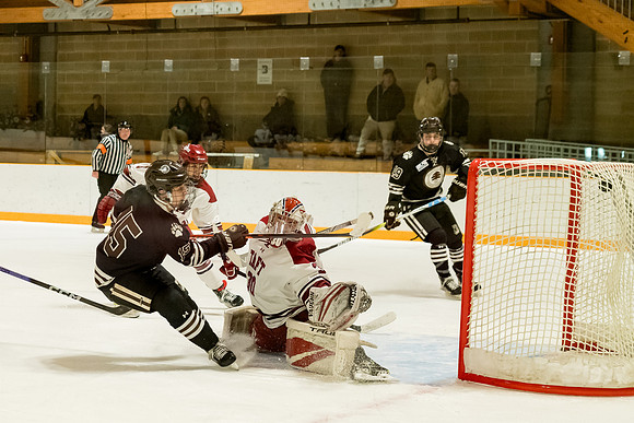 hockey_2024-02-17_ah2_0192