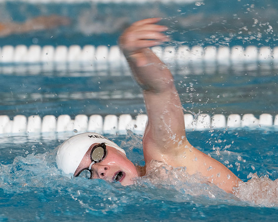 swimming_2024-02-03_dburns_9225