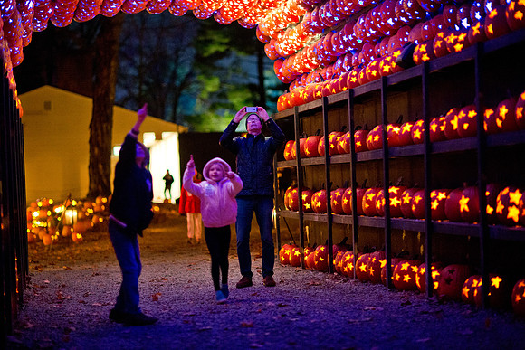 pumpkinblaze19_mkras_0054