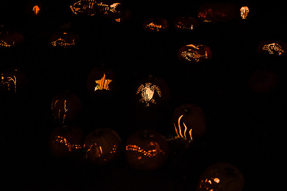 pumpkinblaze16_hp_9238