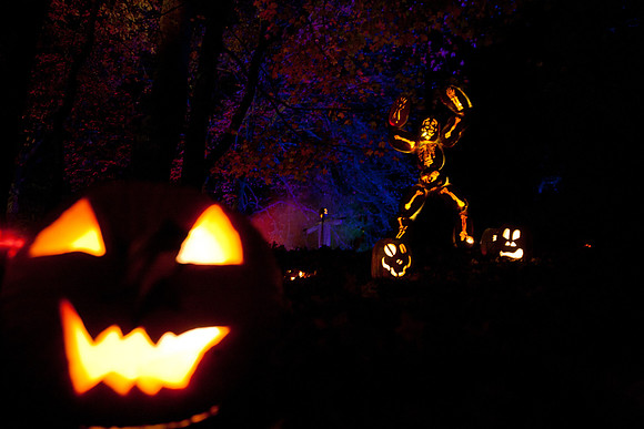 pumpkinblaze20_mkras_0020