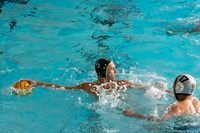 Water Polo, Varsity (vs Hotchkiss and Hopkins)