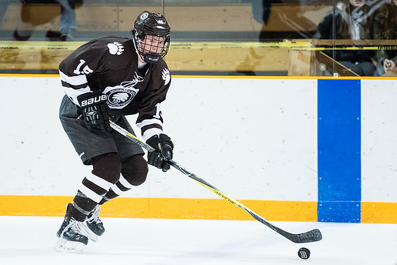 hockey_2018-02-09_db_9313