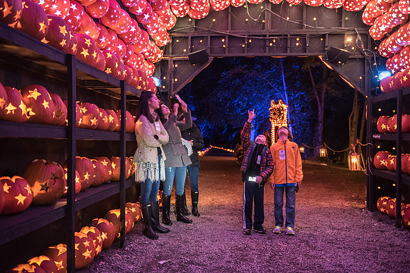 pumpkinblaze_hp_8428