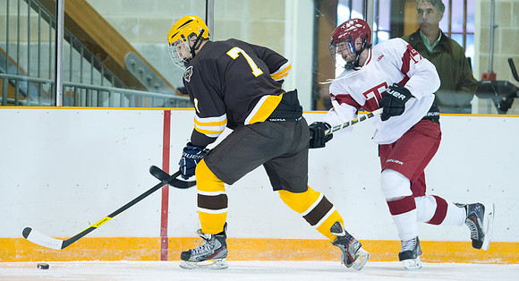 hockey_db_6093
