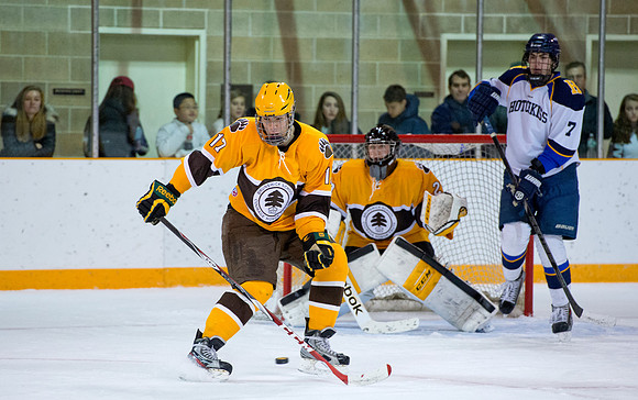 hockey_2014-11-22_hotchkiss_dburns_7981