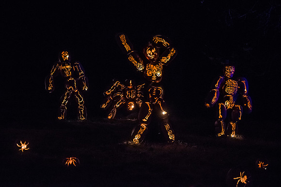 pumpkinblaze16_hp_9314