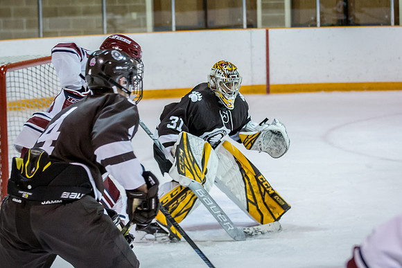 hockey_2020-01-09_jfess_1459