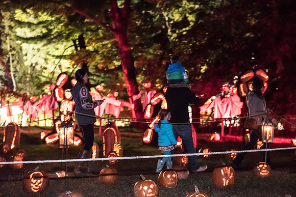 pumpkinblaze_hp_8253
