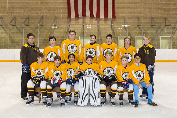 team_winter1516_hockey_ms2_jfess_5052