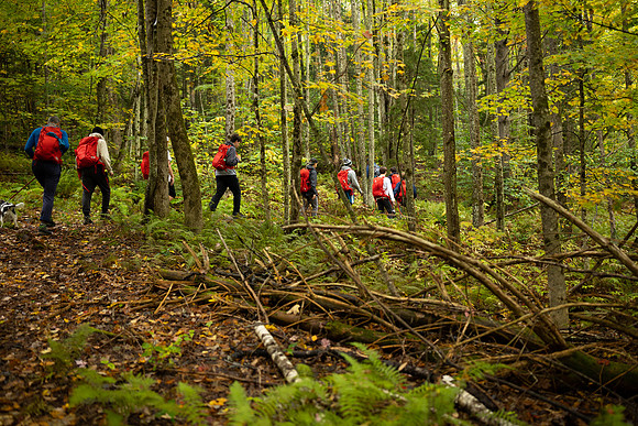 randolphvt2021_trip03_hike_bdf_1474