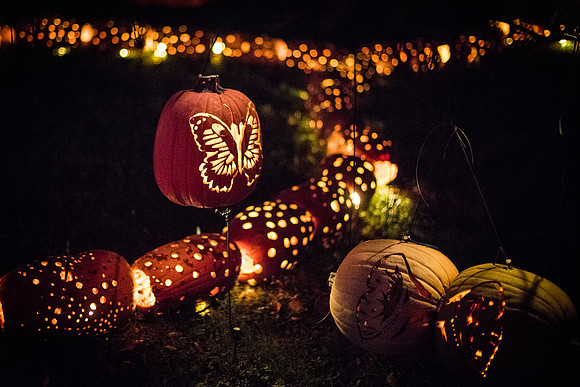 pumpkinblaze_wkl_3337