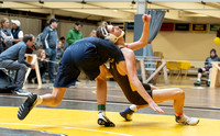 wrestling_bit20_dburns1_2013