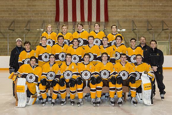 team_winter1516_hockey_varsity_jfess_4598
