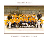team_winter2122_hockey_ms1