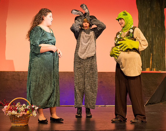 shrekjr_ms_dburns_8568