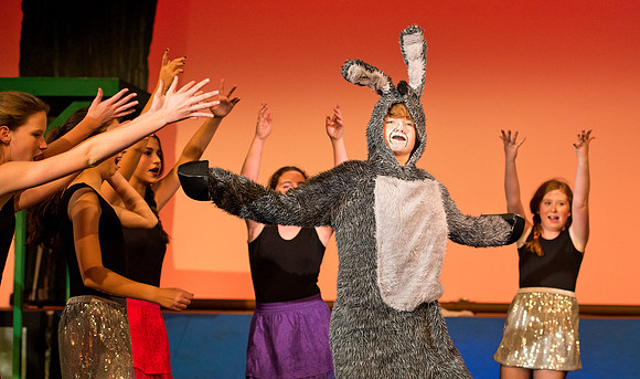 shrekjr_ms_dburns_0608
