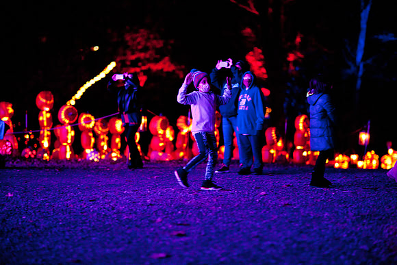 pumpkinblaze20_mkras_0034