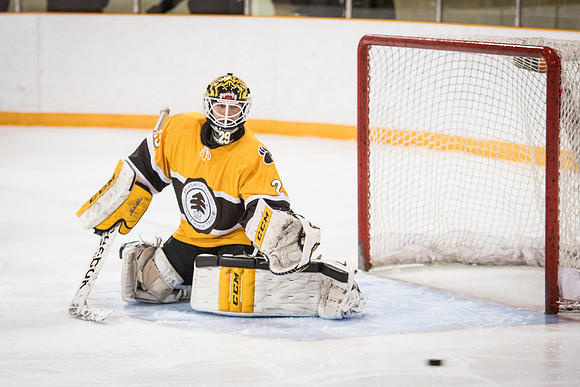 hockey_2016-02-17_wkl_8578