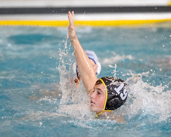 waterpolo_ms_2024-09-24_dburns_4996