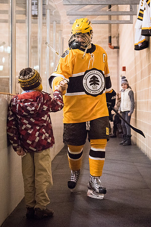 hockey_2016-02-17_wkl_8355