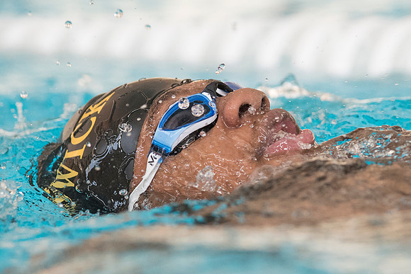 swimming_db_1551