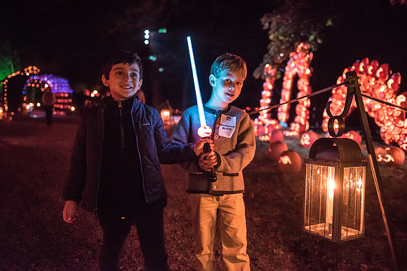 pumpkinblaze_hp_8365