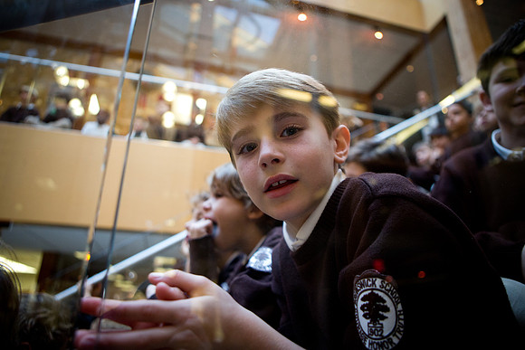 treelighting17_ls_mkras_0062