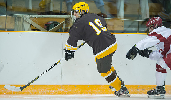 hockey_db_6113