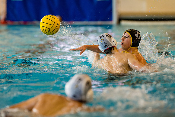 waterpolo_b_2024-10-25_ah_0075