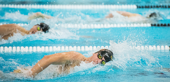 swimming_2016-12-14_db_7152