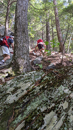 randolph2021_trip02_submitted_ddych_20200925_181817932